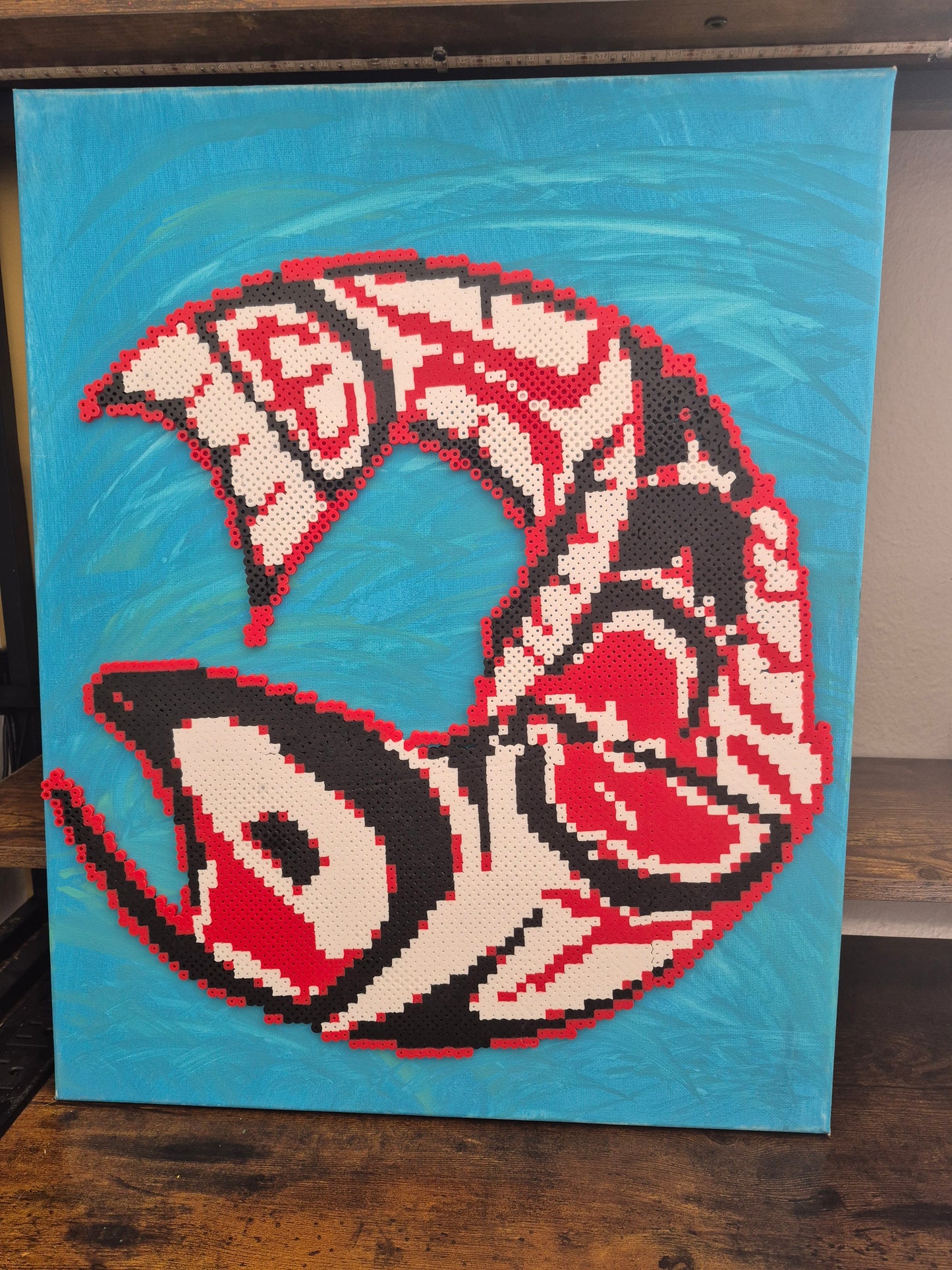 Haida Salmon